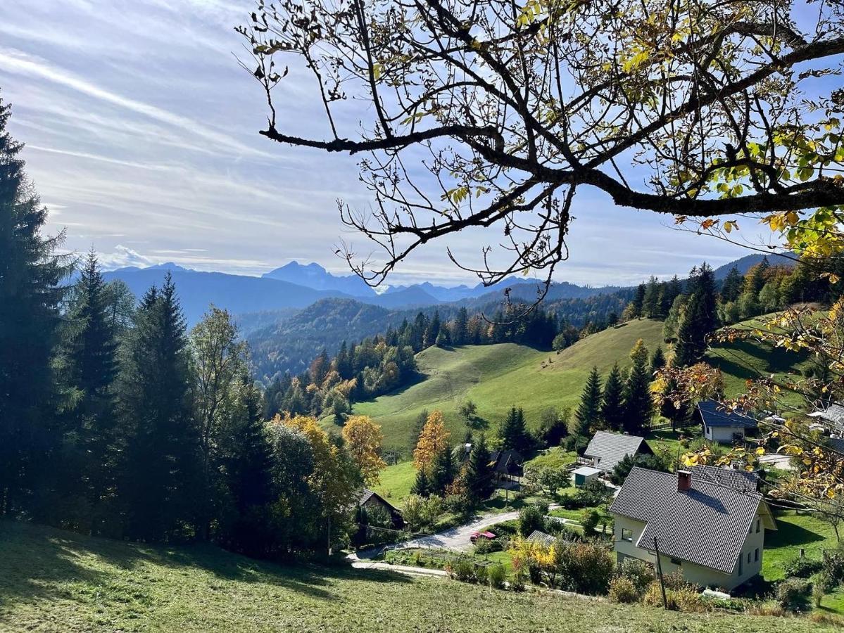 Apartments Pri Fencu Jesenice Kültér fotó