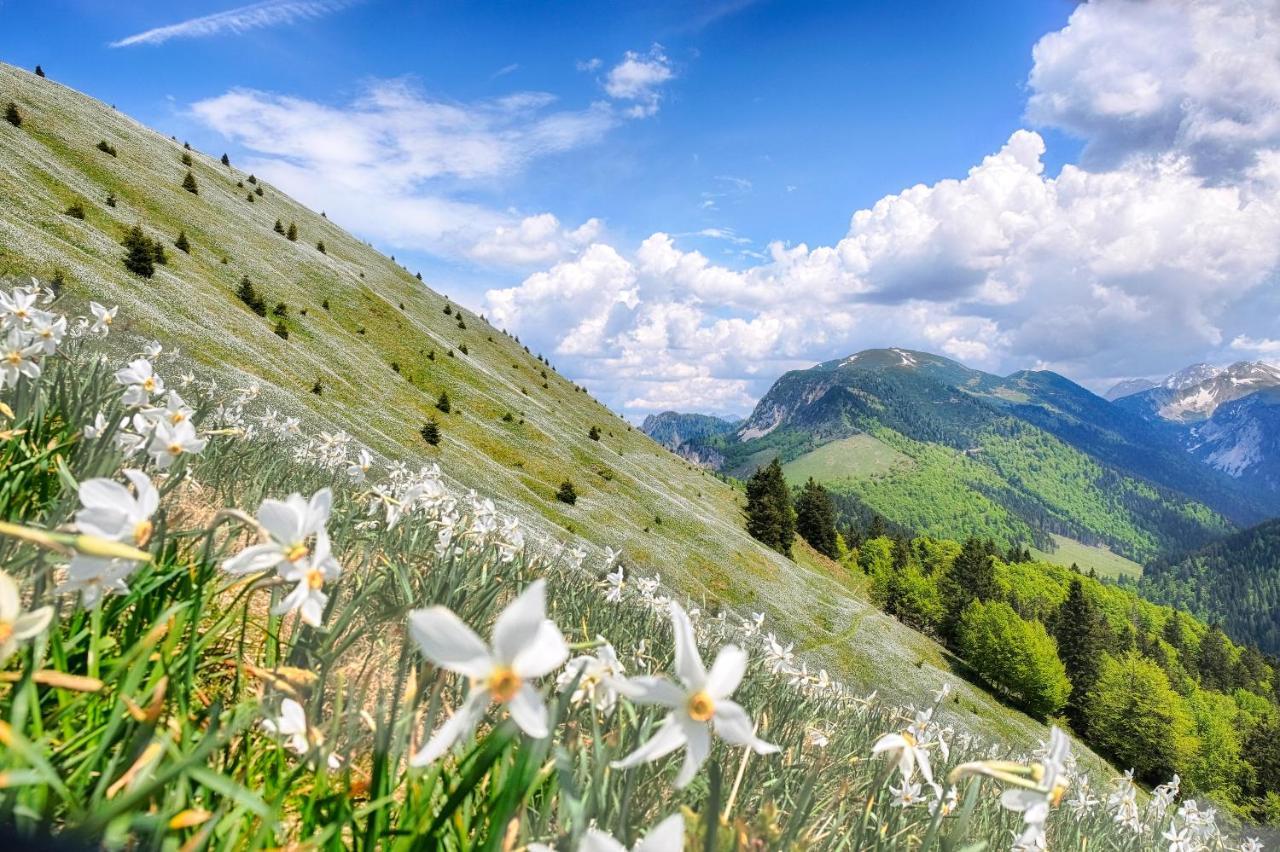 Apartments Pri Fencu Jesenice Kültér fotó