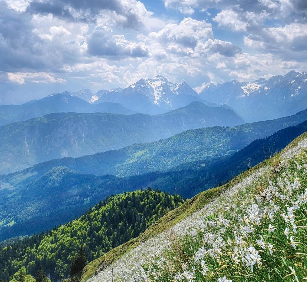 Apartments Pri Fencu Jesenice Kültér fotó