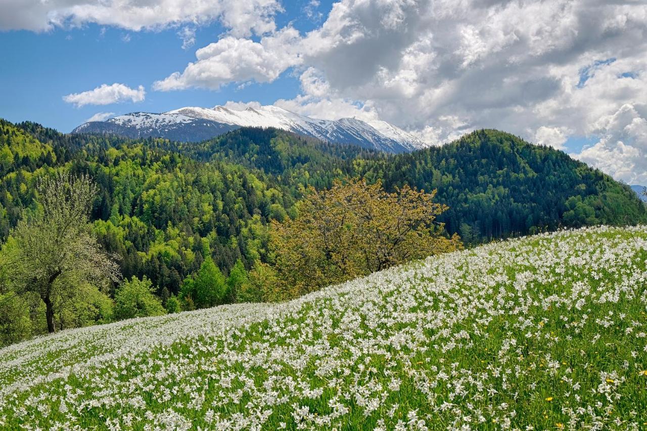 Apartments Pri Fencu Jesenice Kültér fotó