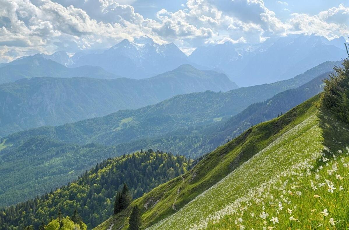 Apartments Pri Fencu Jesenice Kültér fotó